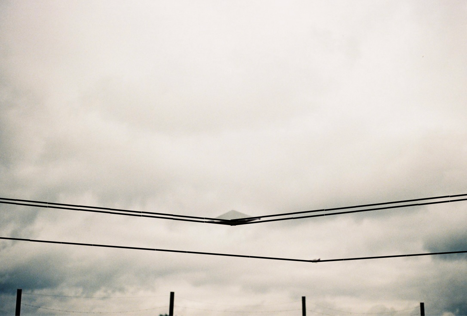 IMG_5129.png