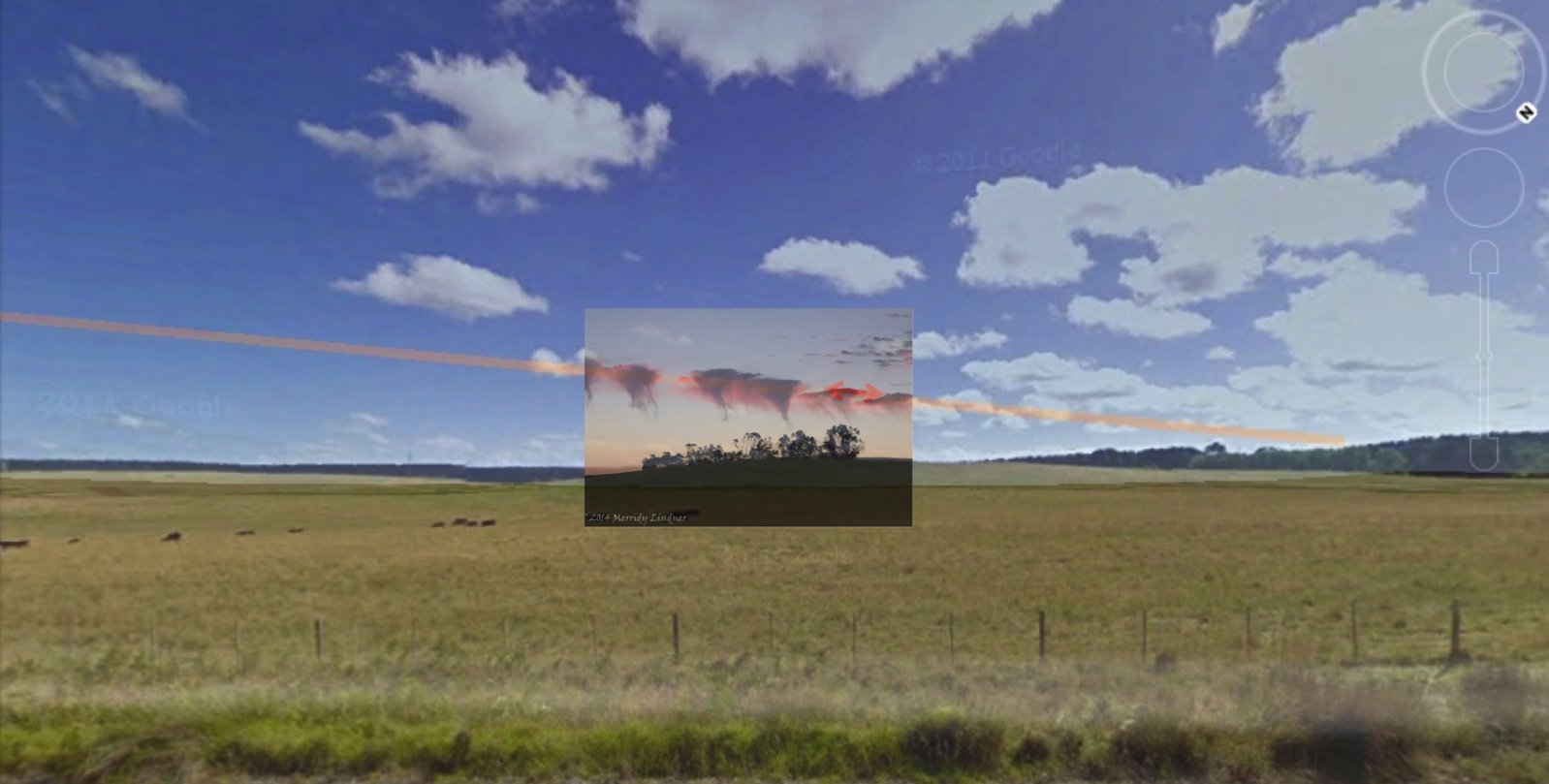 Jellyfish line Caveton.jpg