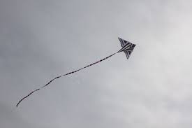 kite 34.jpg