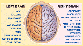 Left_Vs_Right_Brain.gif