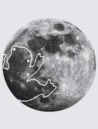 lunar 3.jpg