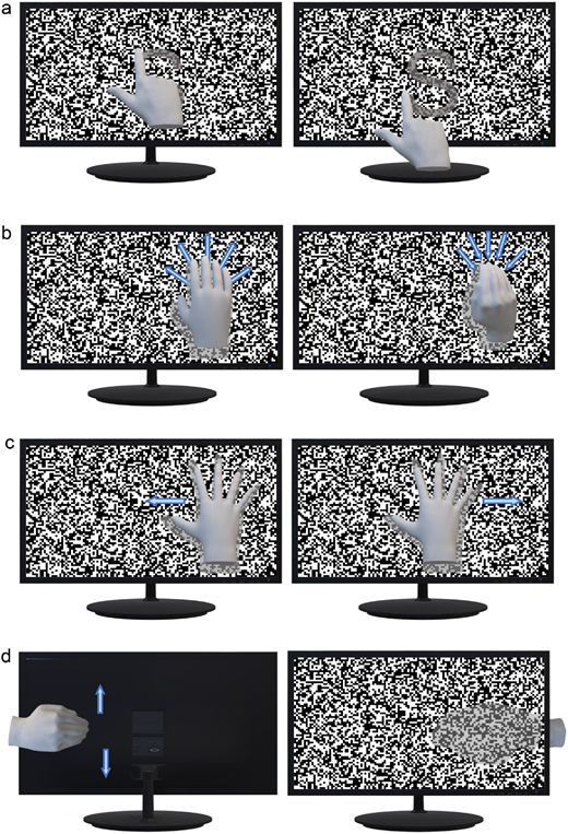 White noise and the illusion of interactivity: A curious paper on vision