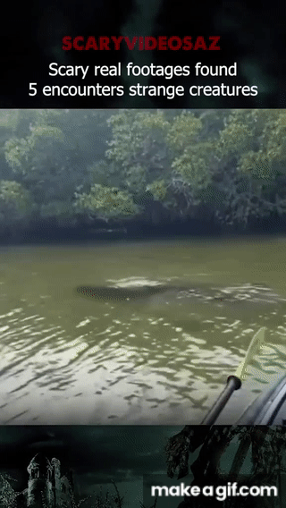 manatee not nessie.gif