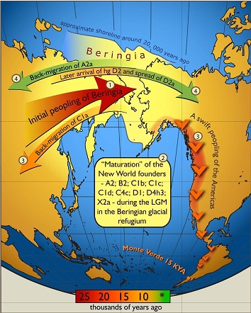 Map_of_gene_flow_in_and_out_of_Beringia.jpg