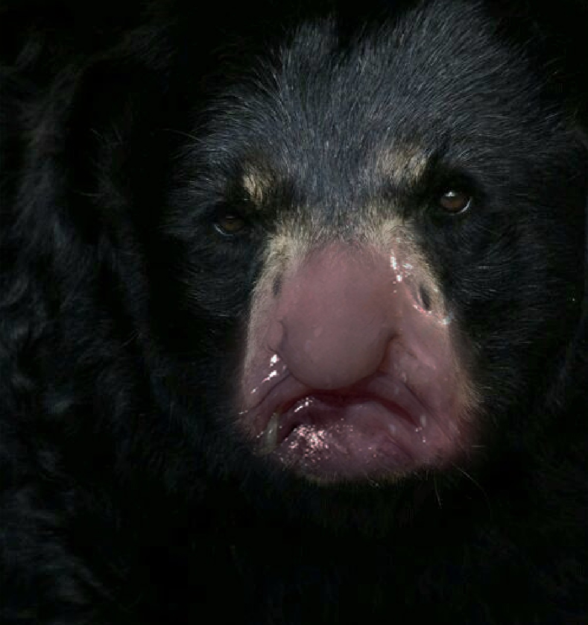 Metabunk 2018-03-28 14-19-00.jpg