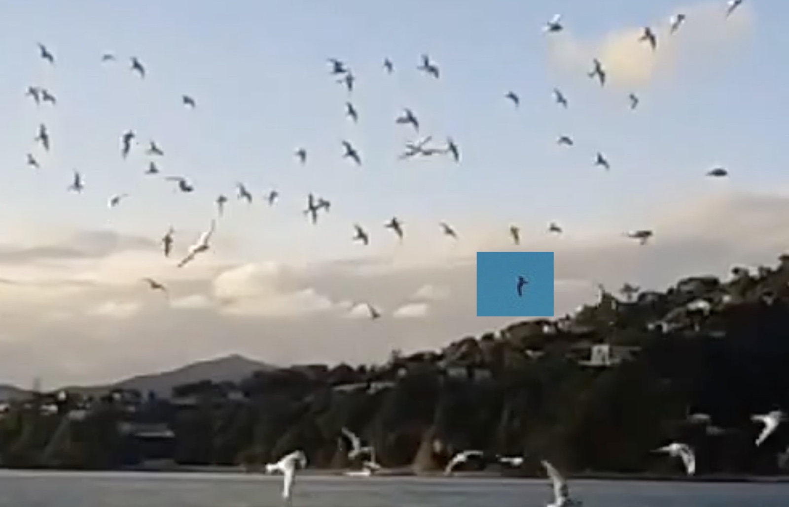 Metabunk 2018-06-02 10-32-02.jpg