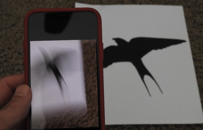 Metabunk 2018-08-26 11-23-15.jpg