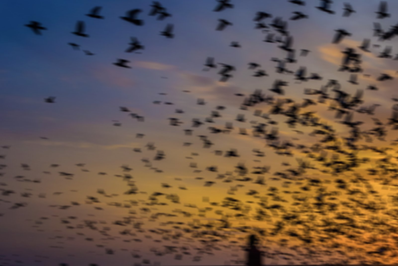 Metabunk 2018-08-27 08-34-04.jpg