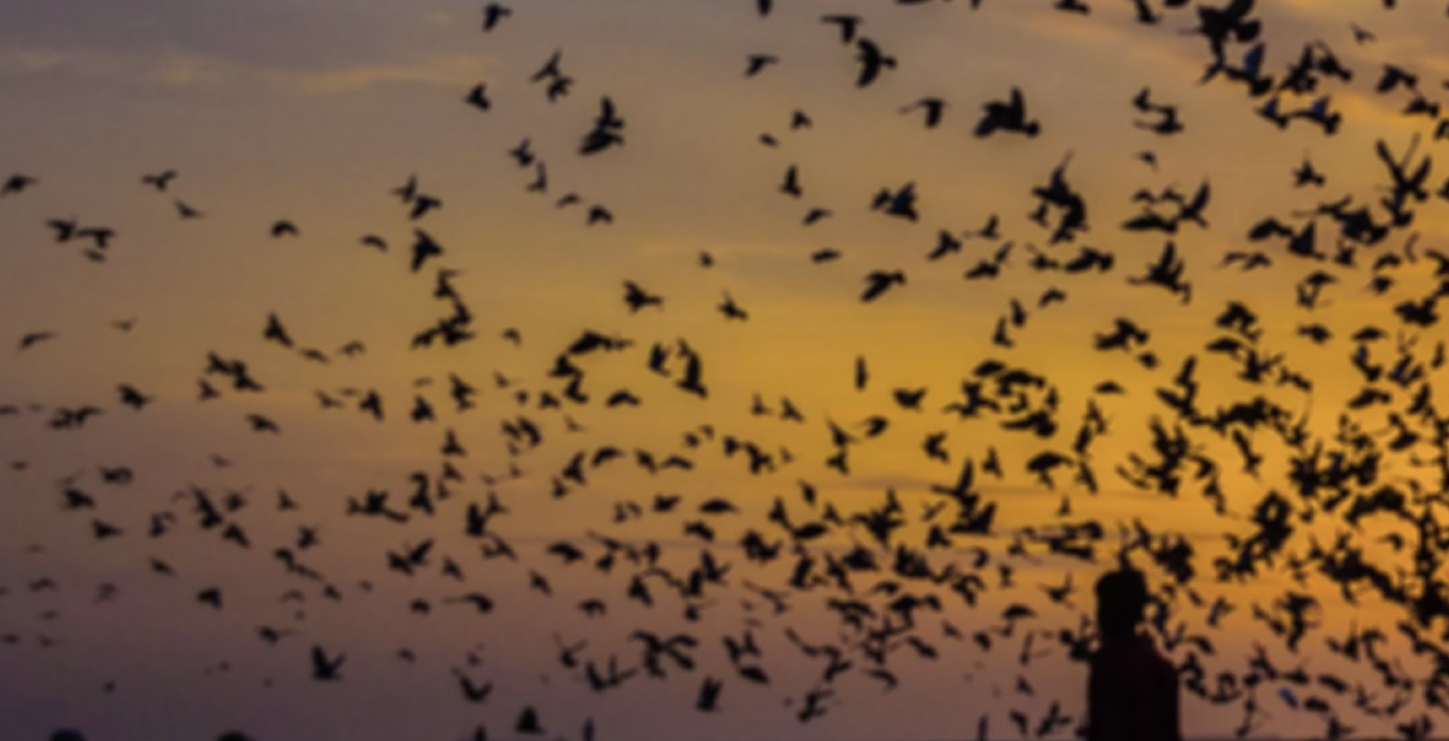 Metabunk 2018-08-27 08-36-40.jpg