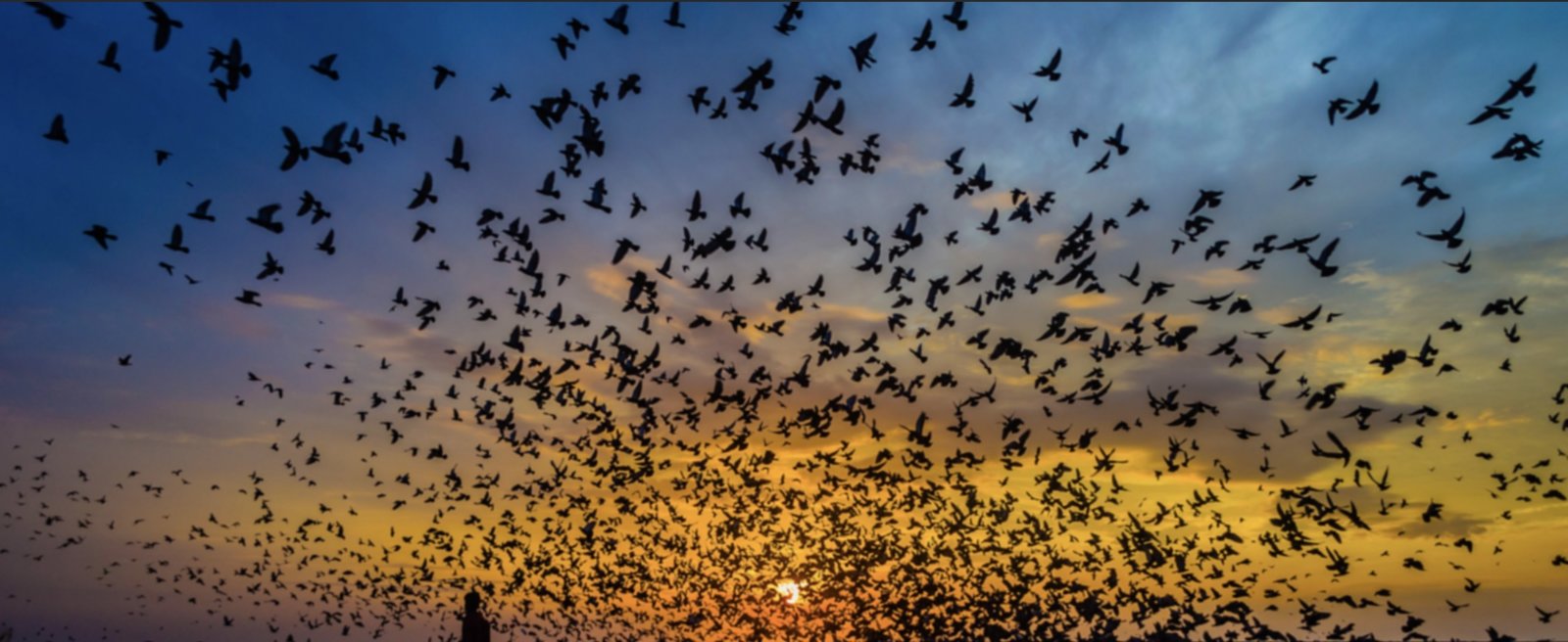 Metabunk 2018-08-27 08-37-45.jpg