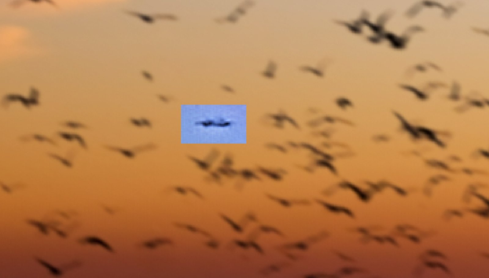 Metabunk 2018-08-27 09-37-55.jpg