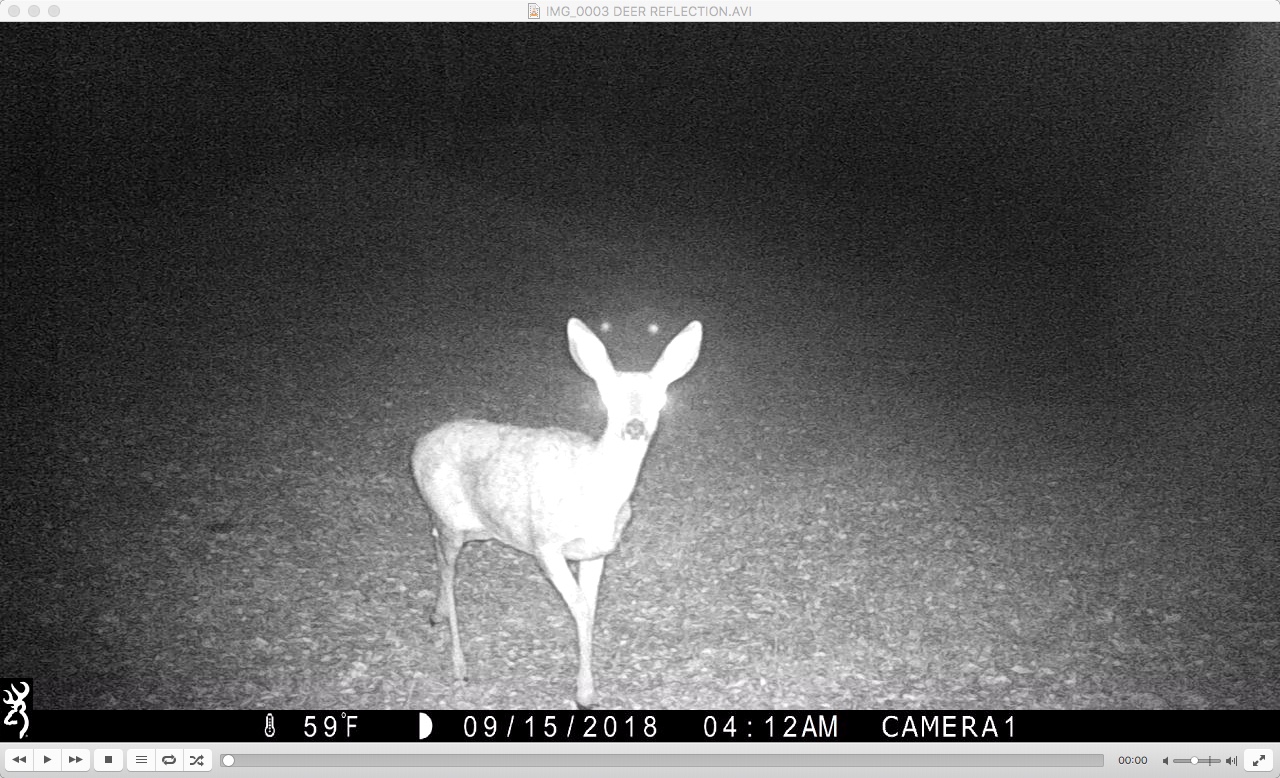 Metabunk 2018-09-18 09-08-35.jpg