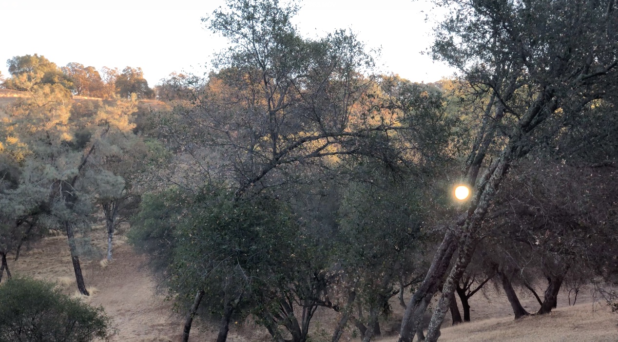 Metabunk 2018-11-06 07-59-15.jpg