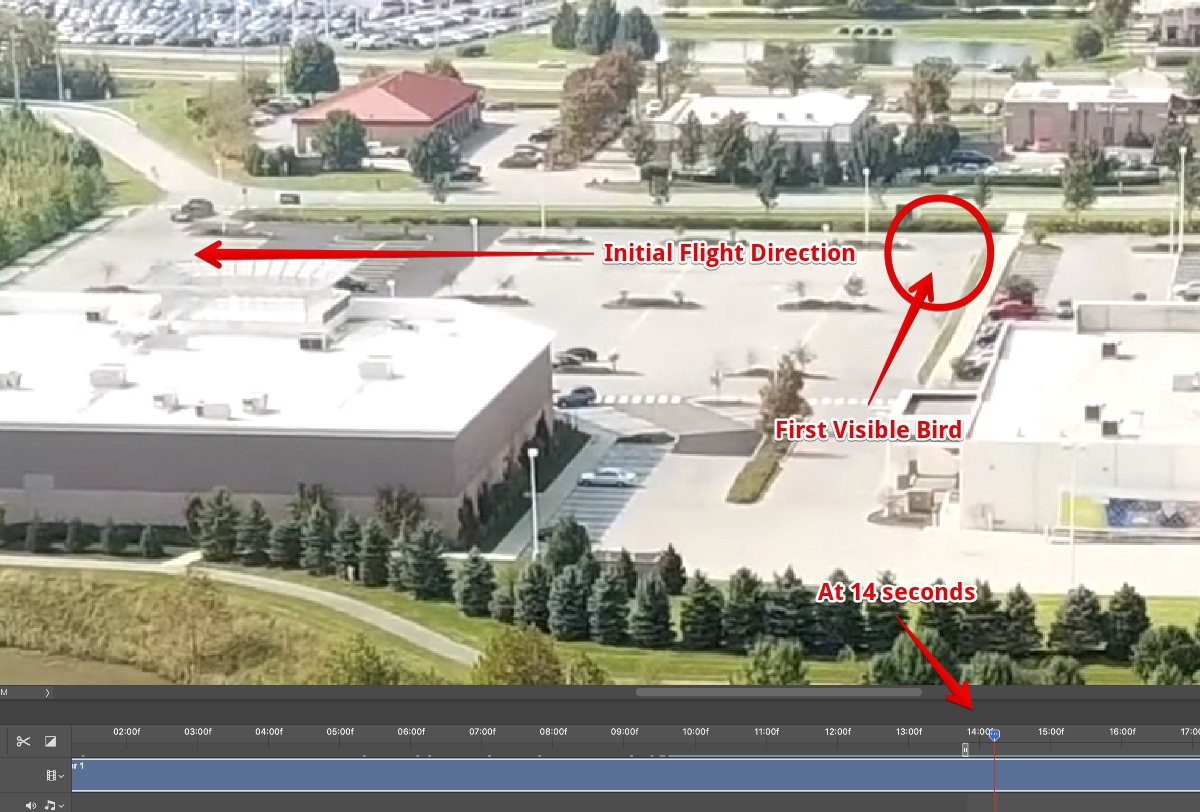 Metabunk 2019-02-20 11-51-54.jpg