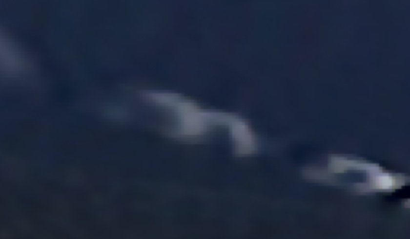 Metabunk 2019-02-22 08-37-34.jpg