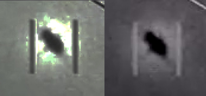 Metabunk 2019-08-07 07-59-17.jpg