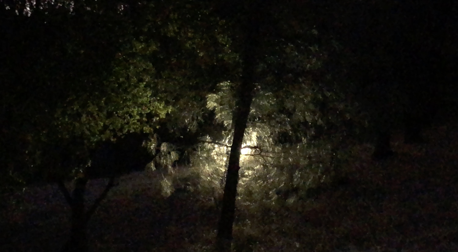 Metabunk 2019-11-07 06-24-46.jpg