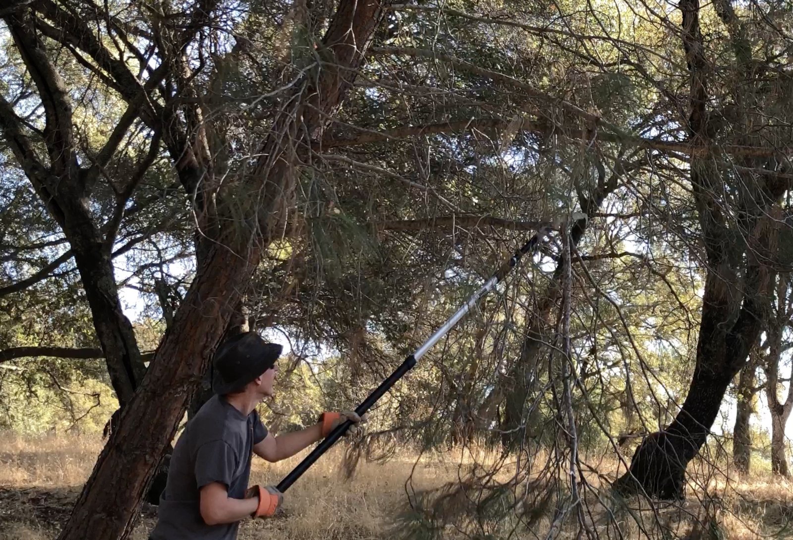 Metabunk 2019-11-07 11-07-13.jpg