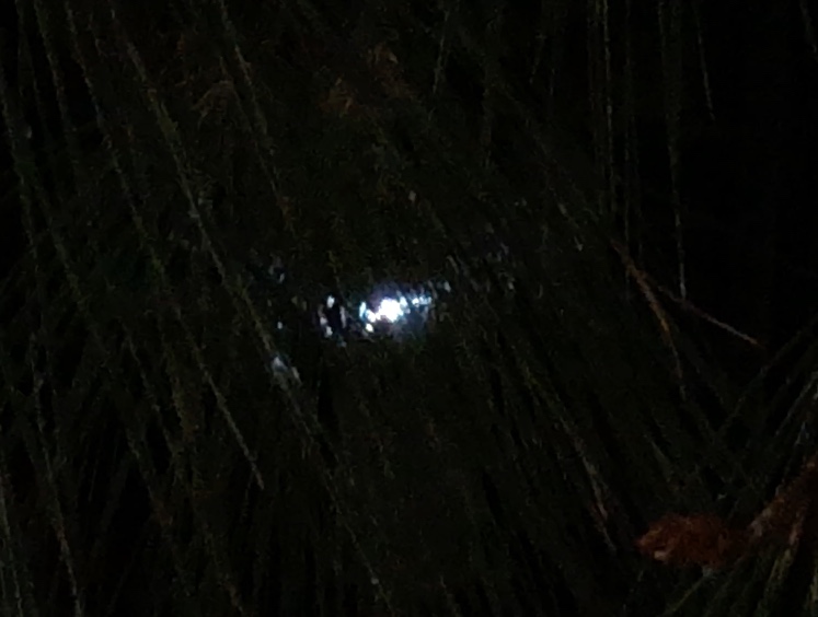 Metabunk 2019-11-07 11-13-51.jpg