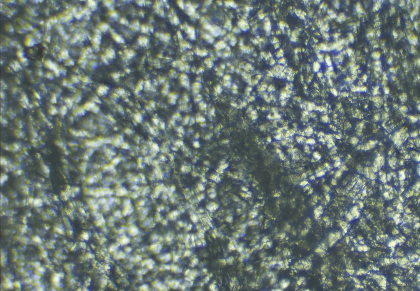 Metabunk 2020-02-18 11-15-44.jpg