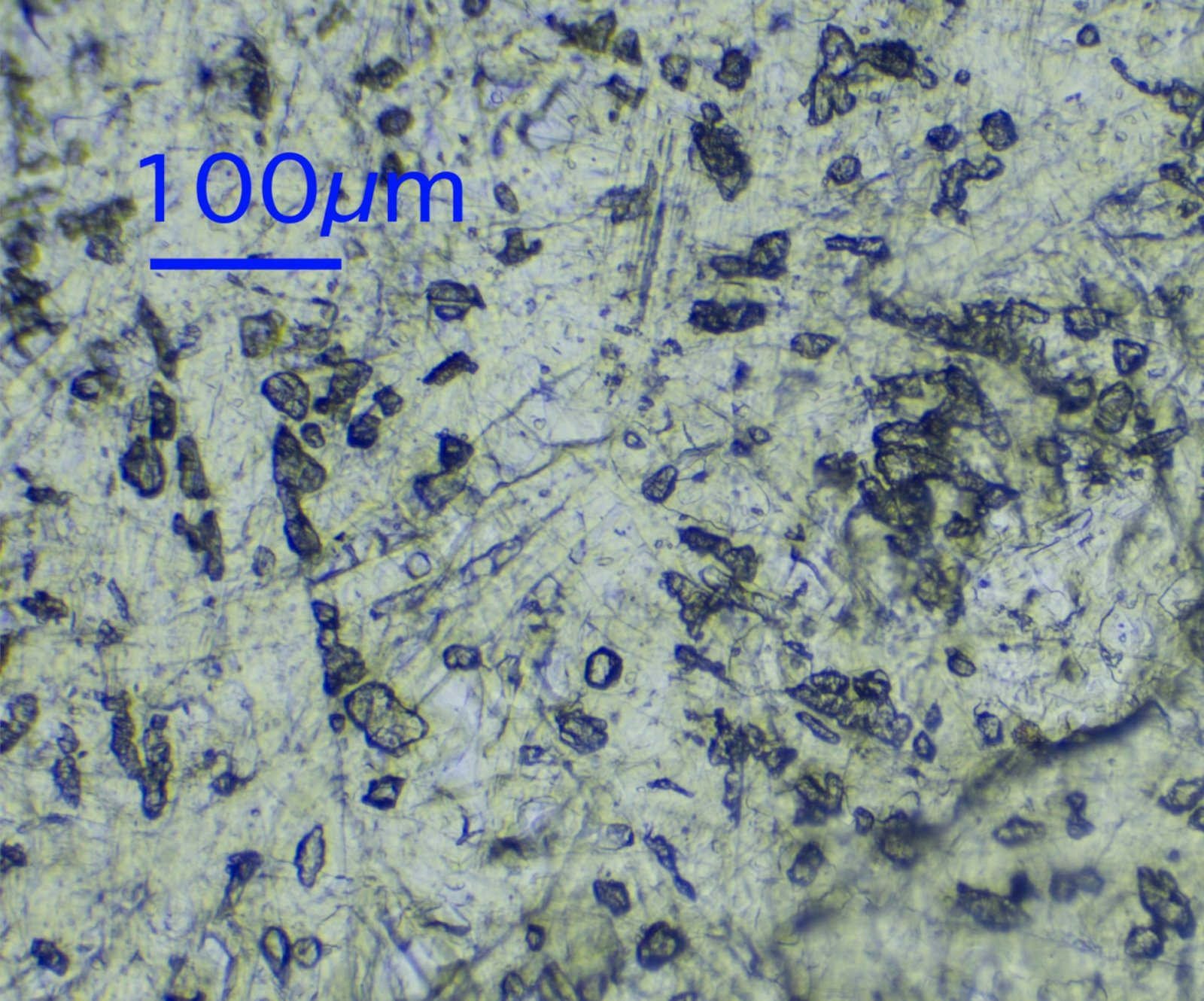 Metabunk 2020-02-18 11-19-07.jpg