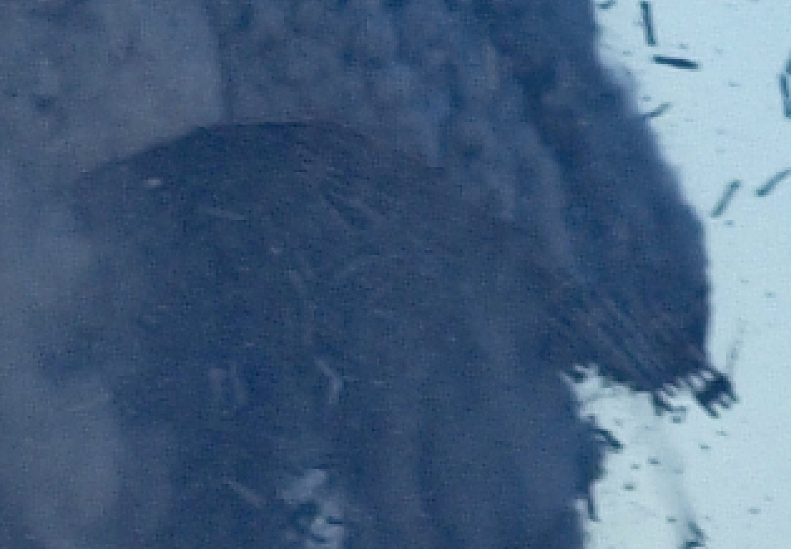 Metabunk 2020-10-03 08-32-10.jpg