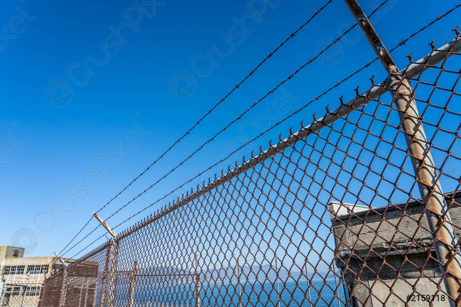 metal-fence-with-barbed-wire-2159118.jpg