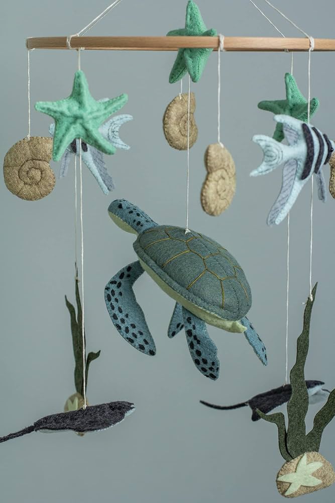 Mitch's turtle mobile.jpg