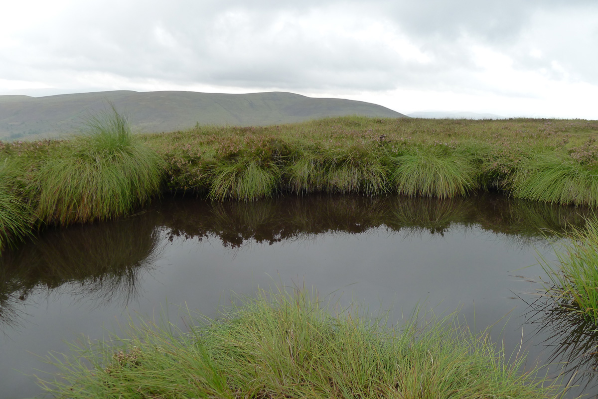 Moorland_Pool.jpg