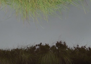 Moorland_Pool.jpg