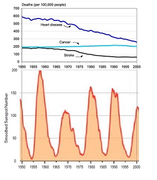 Mortality vs solar cycles as indicated by sunspot frequency.jpg