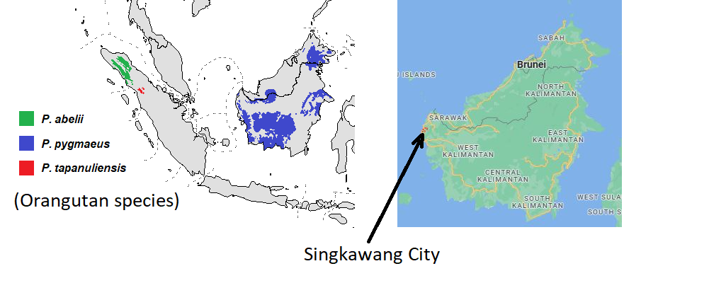 Orangutan_distribution.png