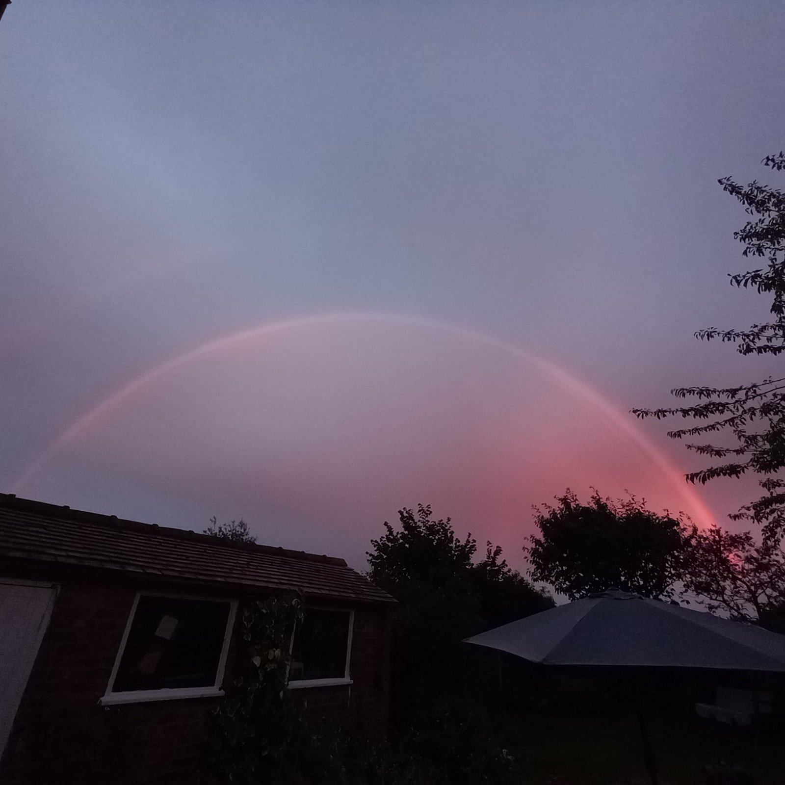pinkbow1.jpg