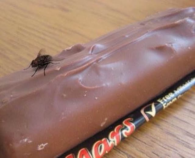 proof of life on mars.jpg