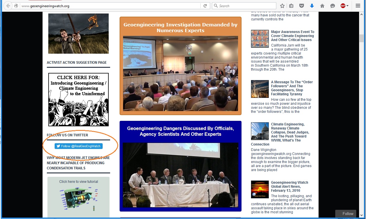 RealGeoEngWatchTwitter.jpg