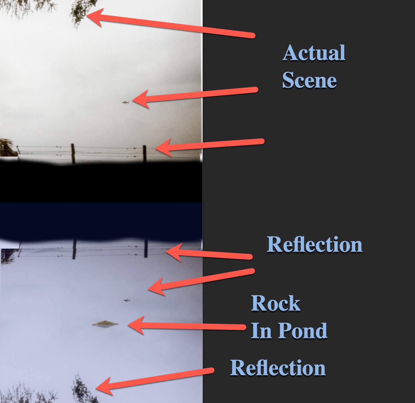reflection theory.jpg