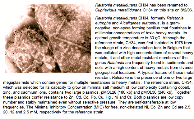 Screen shot 2015-01-18 at 13.22.09.png