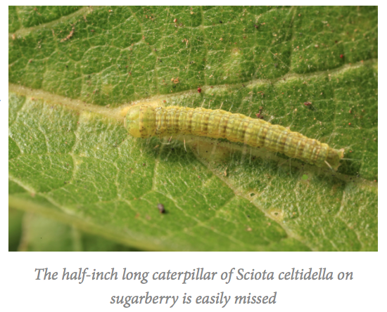 Screen Shot 2017-10-16 at 6.06.49 PM.png