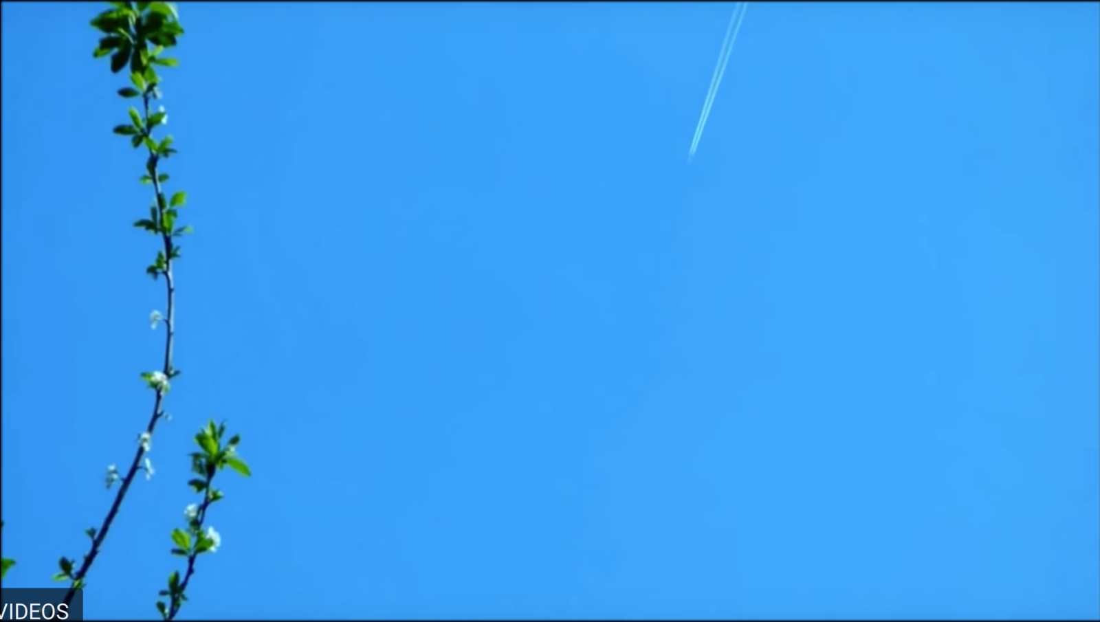 Screen Shot 2018-03-15 at 11.54.25.png