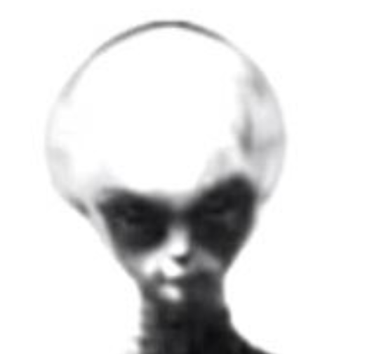 Screenshot 2021-06-01 101542.png