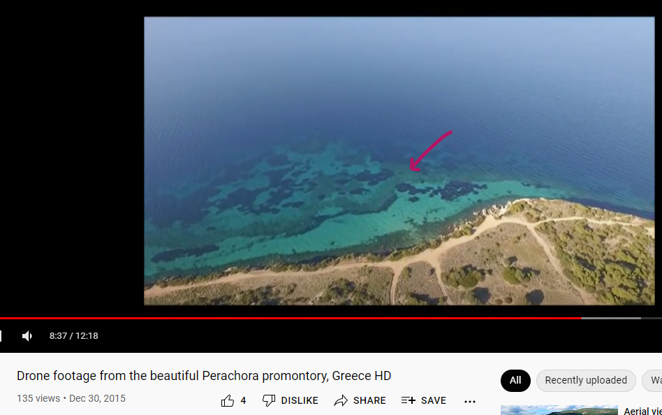 Screenshot 2021-11-25 080226.png