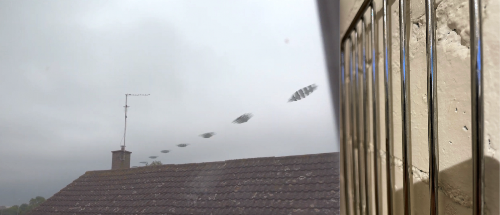 Screenshot 2021-12-27 at 16.56.29.png