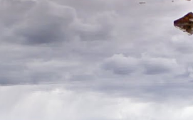 Screenshot 2022-08-17 195947.png