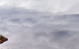 Screenshot 2022-08-17 195947.png