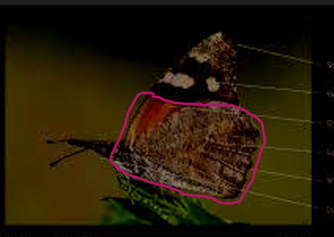 Screenshot 2022-10-23 101718.png