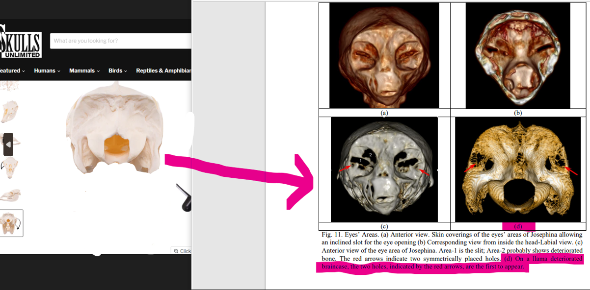 Screenshot 2023-10-25 211305.png