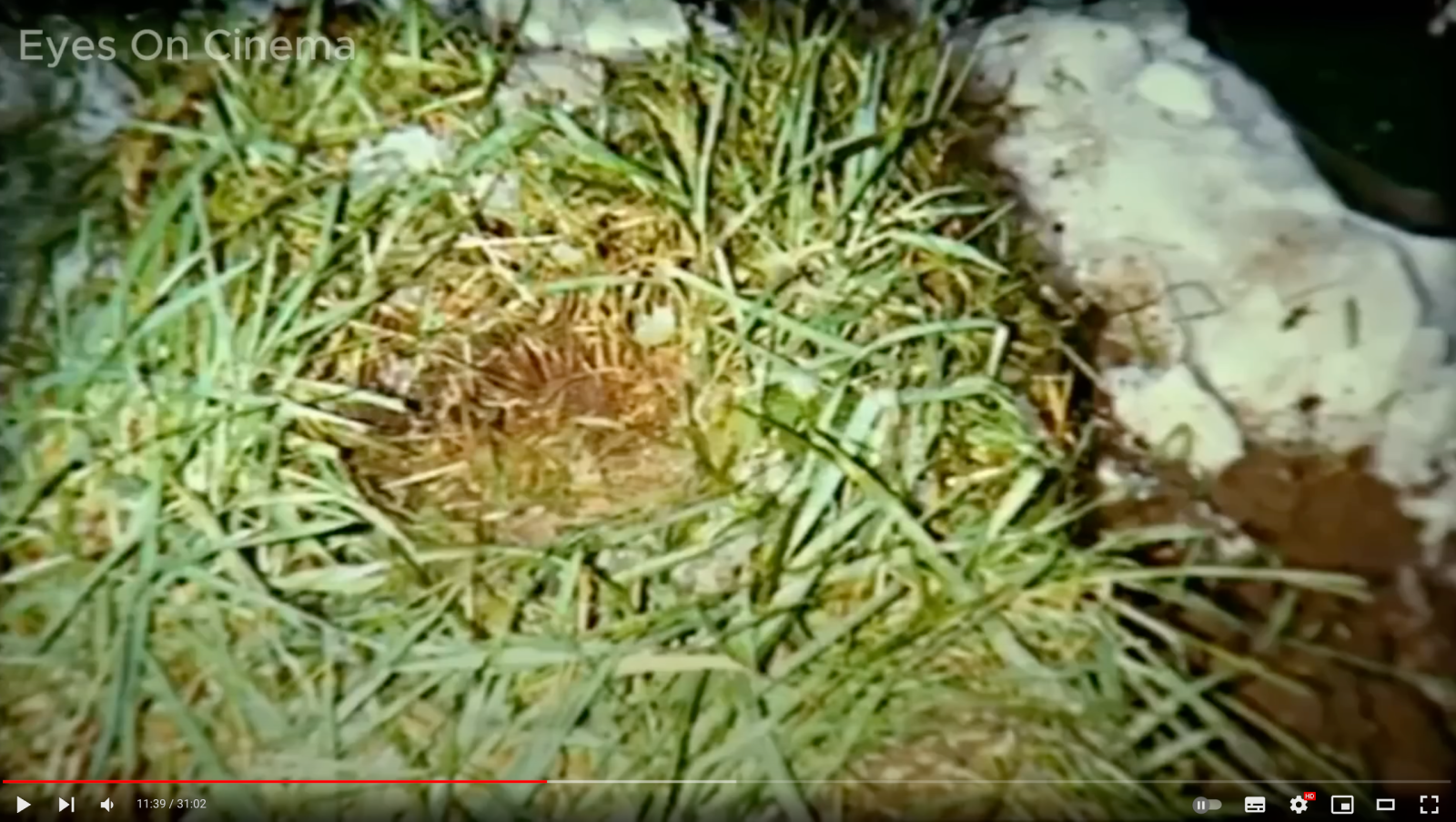 Screenshot 2024-09-15 at 22.56.50.png