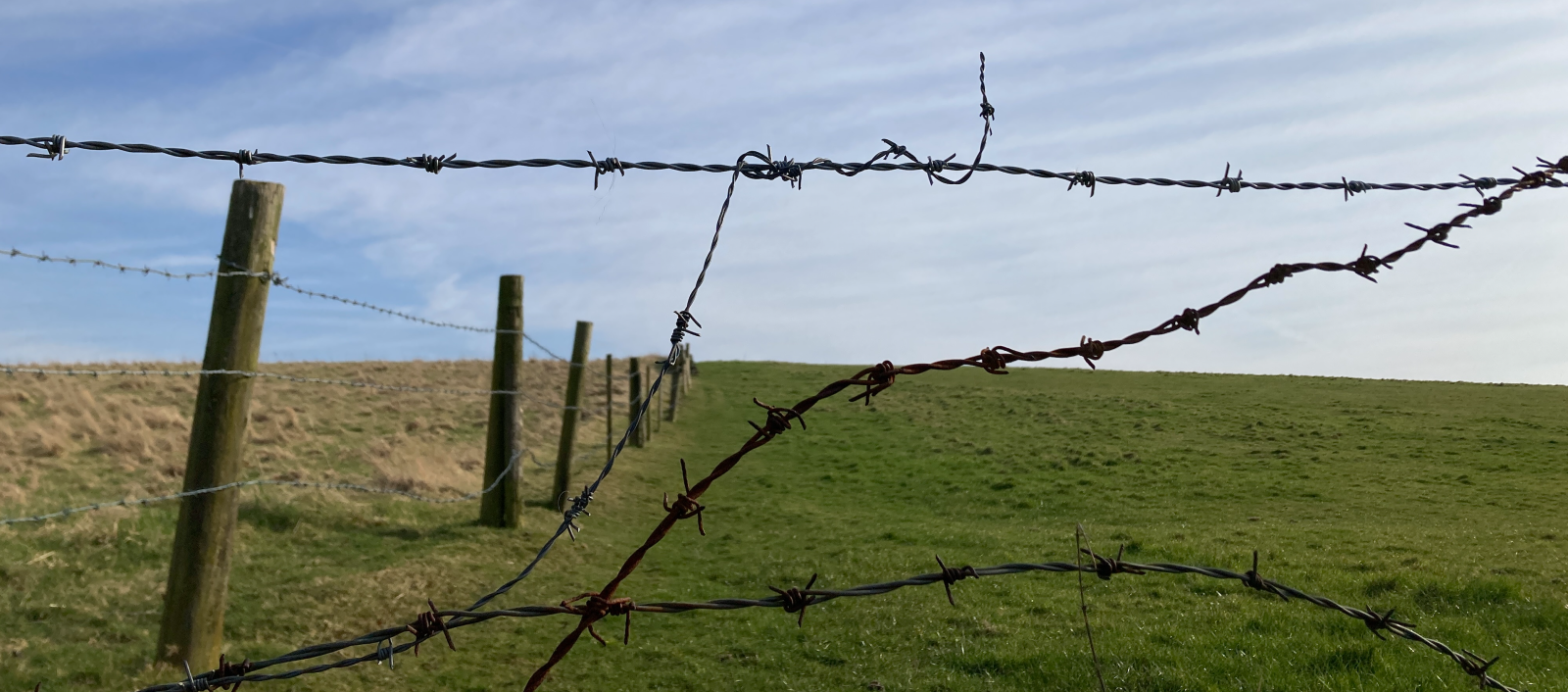 Screenshot 2025-06-29 at 00.40.02.png