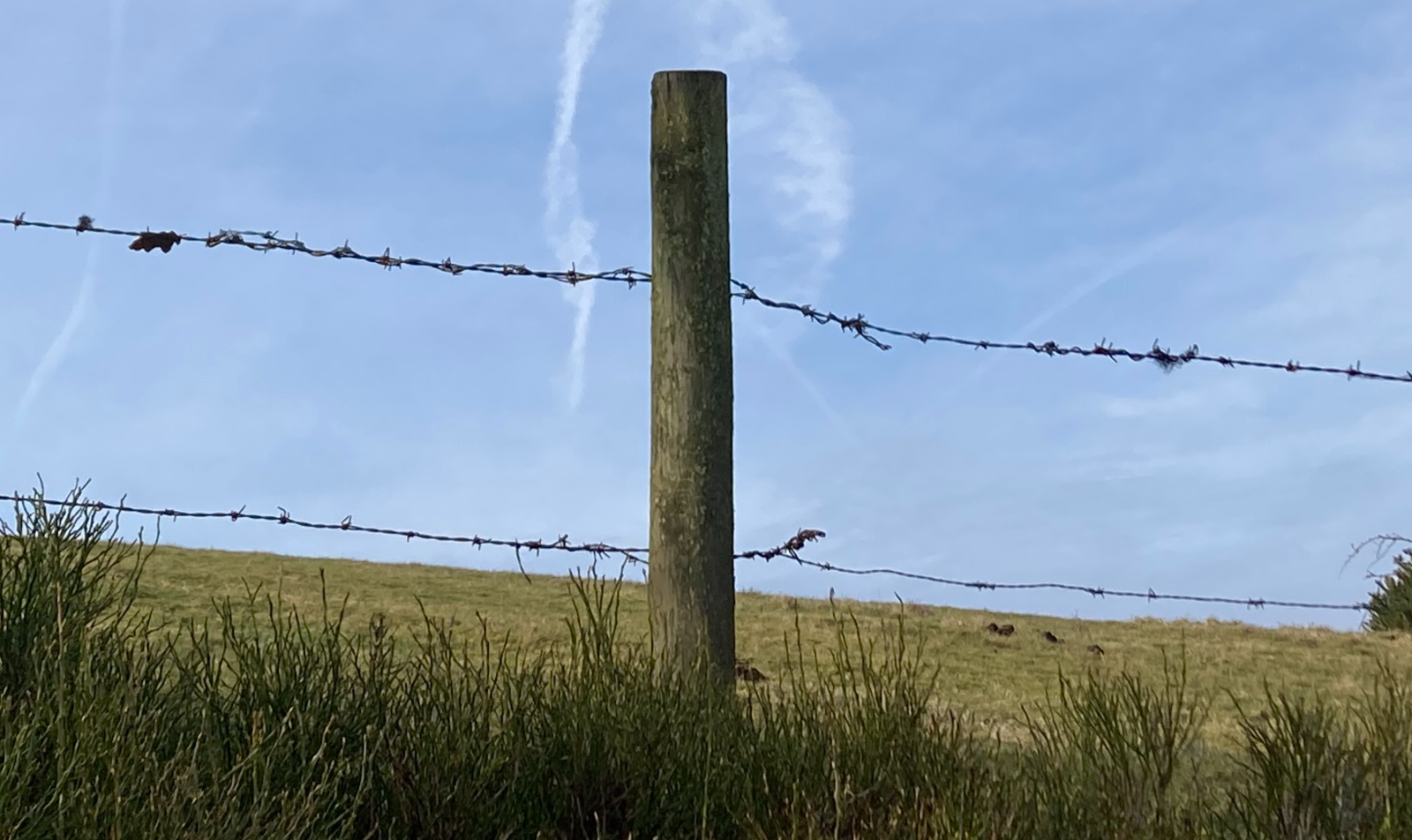 Screenshot 2025-06-30 at 23.16.34.png