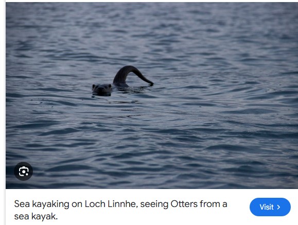 Screenshot 2025-08-24 164729.jpg